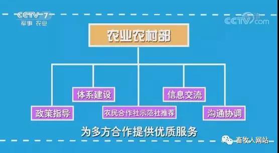 猪好多网