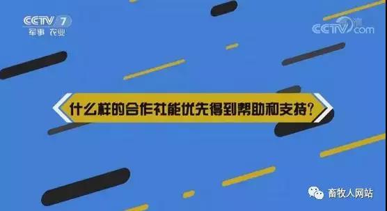猪好多网