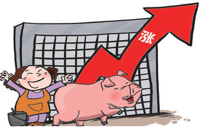 市场的猪肉供应减少，阜城猪肉价格持续走高