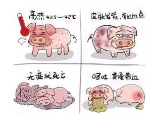 猪好多网