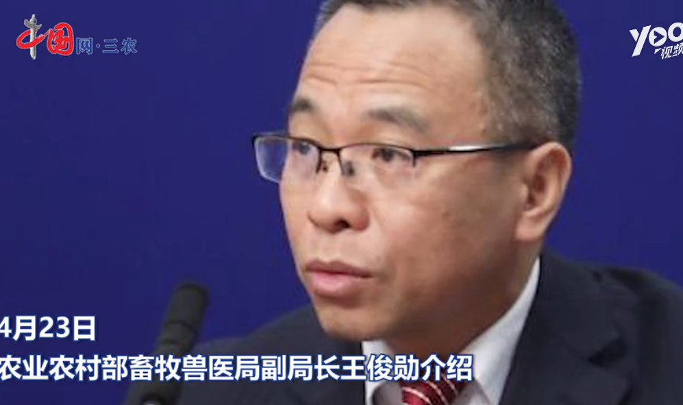 农业农村部：23个省解除猪瘟疫情 活猪价格或达历史新高