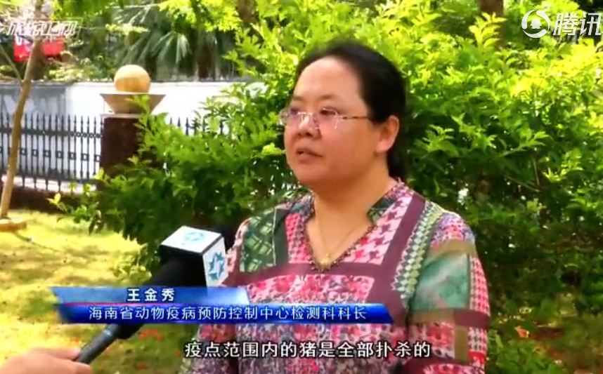防控非洲猪瘟：海南严控疫情扩散 保障猪肉供应稳定