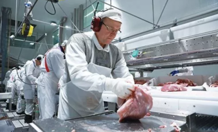 2019年辽宁省屠宰行业专项清理整顿 暨肉类食品安全建设年实施方案