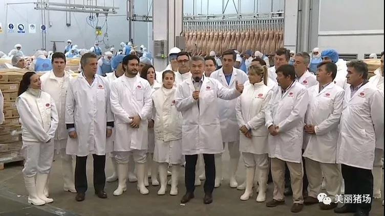 阿根廷开始向中国出口猪肉 25家公司获得许可