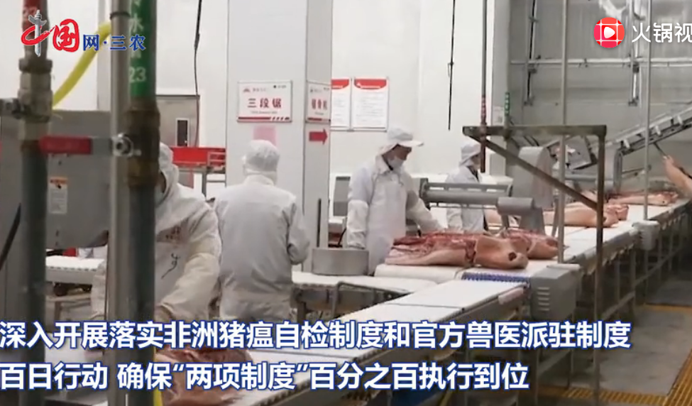 农业农村部：确保生猪屠宰环节“两项制度”百分之百执行到位