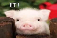 一直缺猪却未见猪价大涨，为啥近日猪价一直是涨涨停停？