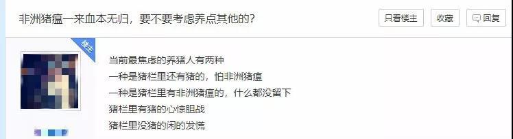 猪好多网