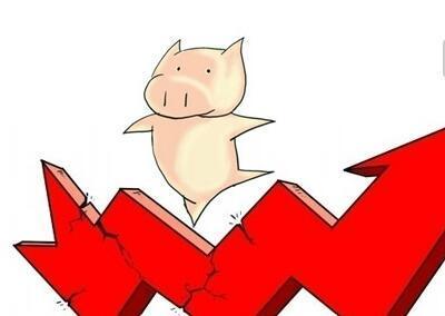 猪业遭遇严冬生猪出栏数量锐减 八月猪价或将创历史