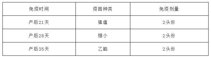 经产母猪免疫程序