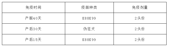 怀孕母猪免疫程序