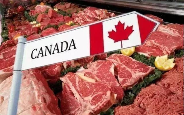 美媒：加拿大进口美国猪肉 加大对华猪肉出口