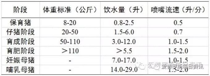 猪好多网
