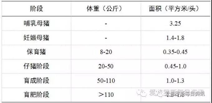 猪好多网