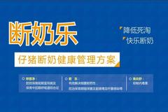 高利润时代到来，保育猪这么养能发财！—断奶乐，猪群轻松度过保育期