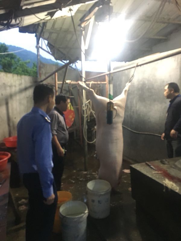 衢州市柯城区捣毁一个生猪私屠滥宰窝点 缴获猪肉及其产品142.38公斤