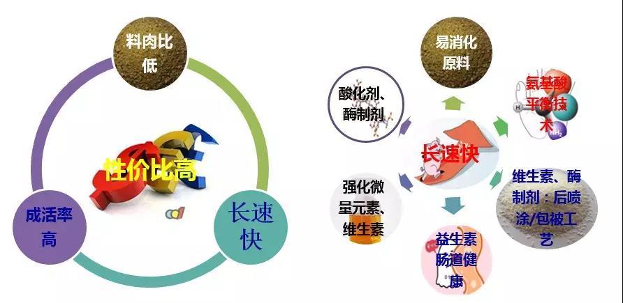 猪好多