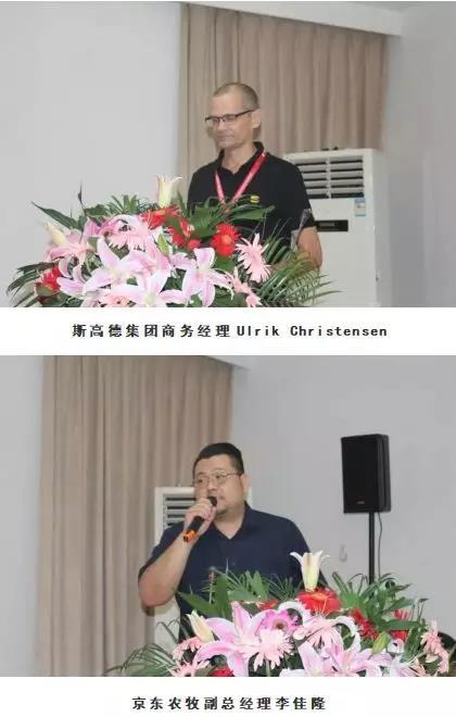 猪好多