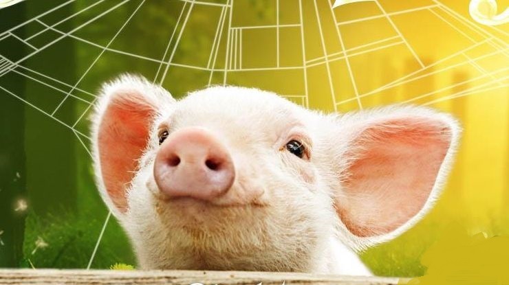 生猪养殖企业贷款获贴息支持 贴息比例原则上不超过2%