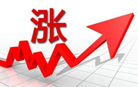 最高一周暴涨13%，广东生猪价全线飙升