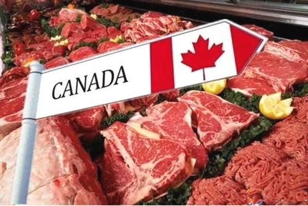 中国将对加拿大猪肉制品实施100%开箱检查