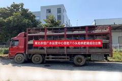 头均赚512元，来看看胡老板是怎么做到的？