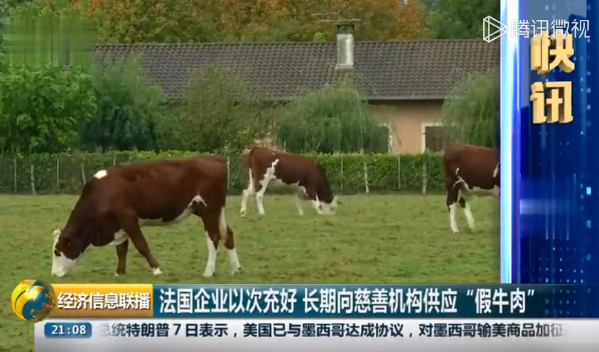 法国企业以次充好 长期向慈善机构供应”假牛肉“
