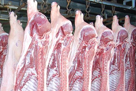 5月瘦肉型白条猪肉出厂价格监测：供需偏紧致总指数环比微涨