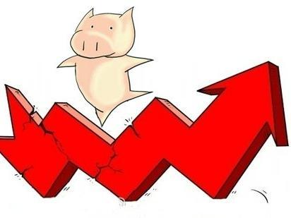 猪价将维持震荡上涨 区域分化较明显