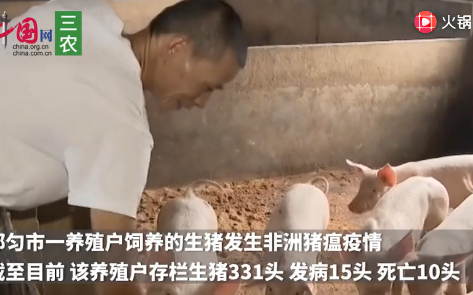 贵州省再现非洲猪瘟！都匀市养殖户存栏生猪331头