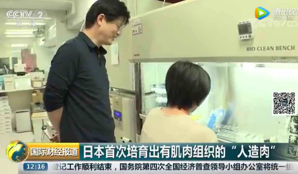 日本首次培育出肌肉组织 “人造牛排” 未来或成饮食新选择