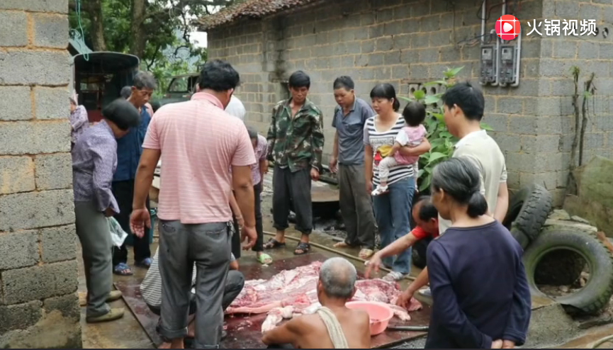 农村猪肉遭哄抢，村民赶紧制定买肉规则，这头猪真是值钱了