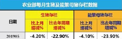 猪好多网