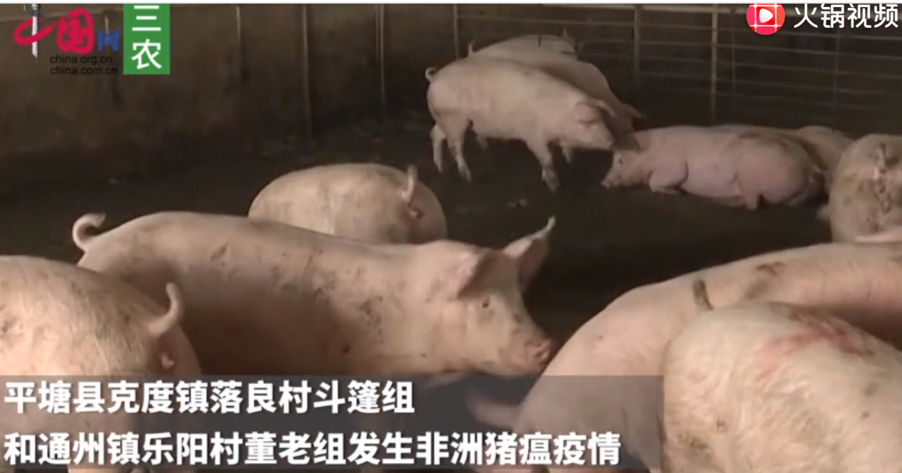 农业农村部：贵州省黔南州平塘县发生非洲猪瘟疫情
