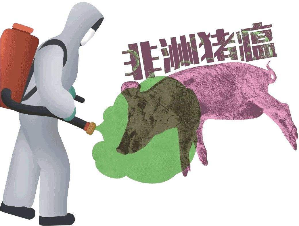亚洲又添一个发生非瘟的国家，海关禁止老挝生猪及其产品入华