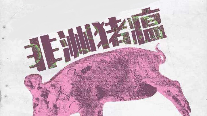 昭平县一车无证偷运生猪被抓，五天内贺州500多头生猪死于非命
