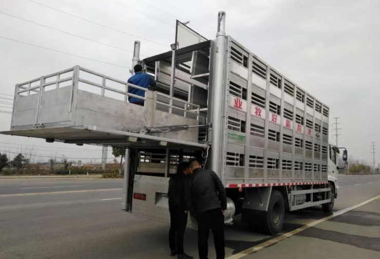 养猪生物安全之车辆运输环节