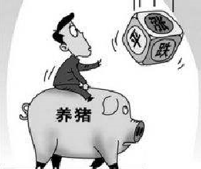 6月25日全国猪价东北再领涨，新一轮上涨即将开启！