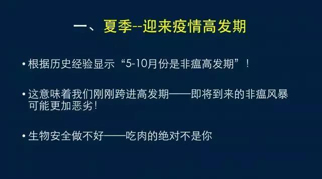 猪好多网