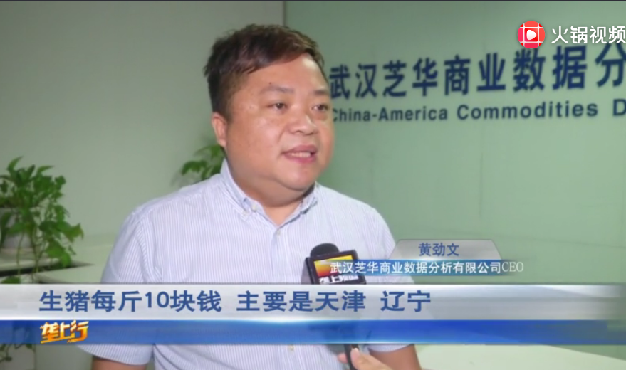 猪价大幅度上涨，部分省份涨到10多元每斤！后期走势如何？