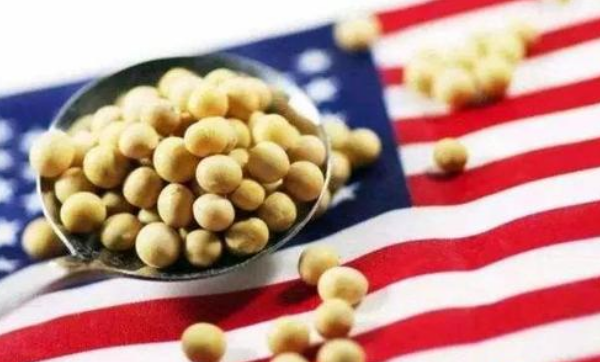 美国对华大豆出口最新统计：对华销售总量同比减少51.9%