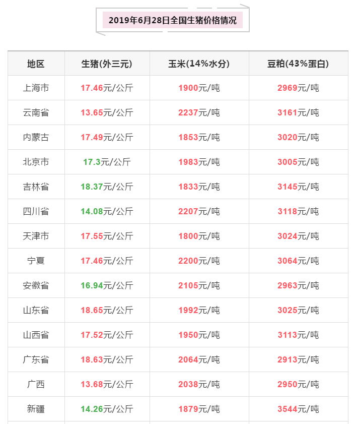 猪好多网