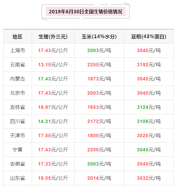 猪好多网