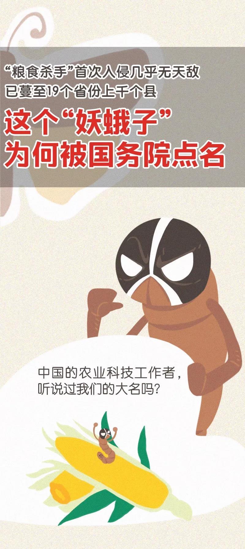 猪好多