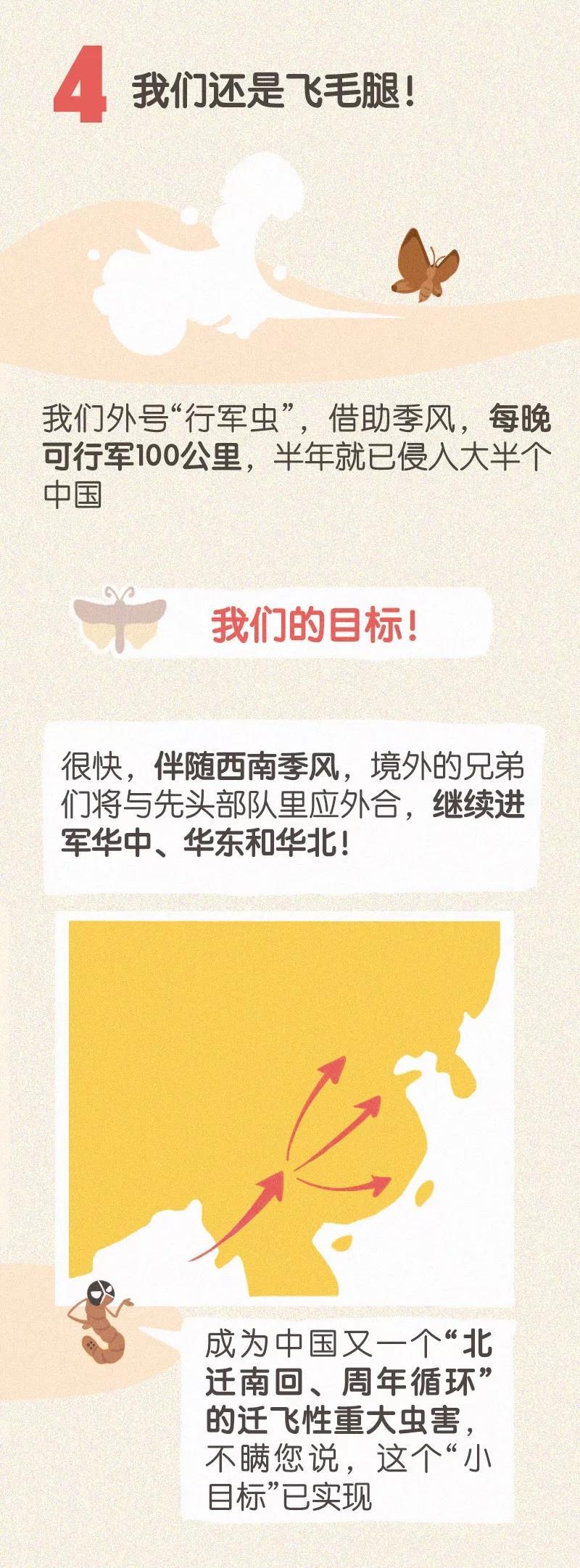 猪好多