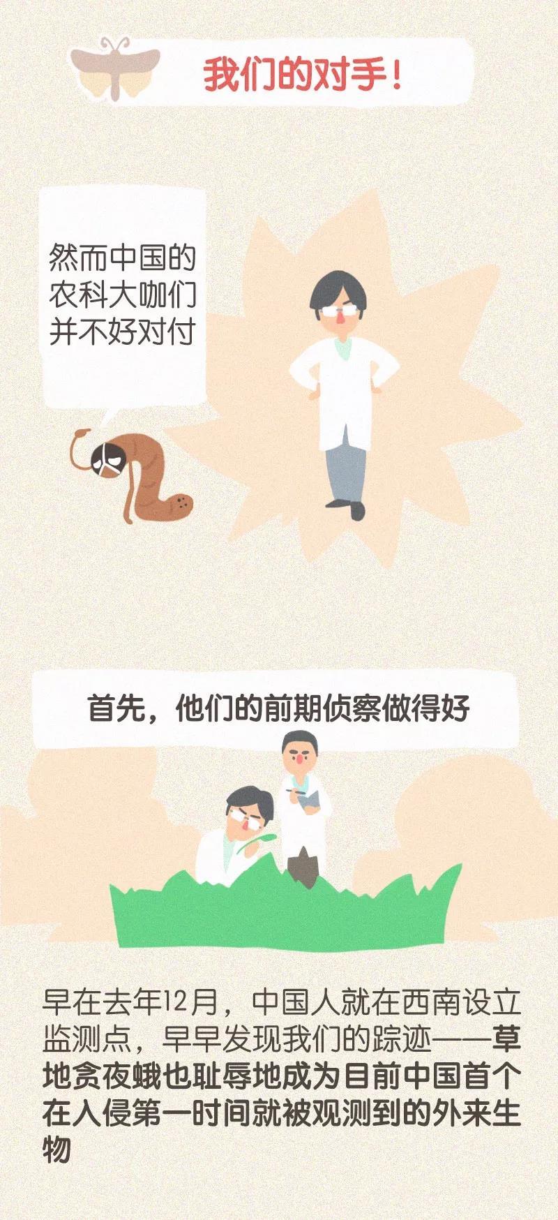 猪好多