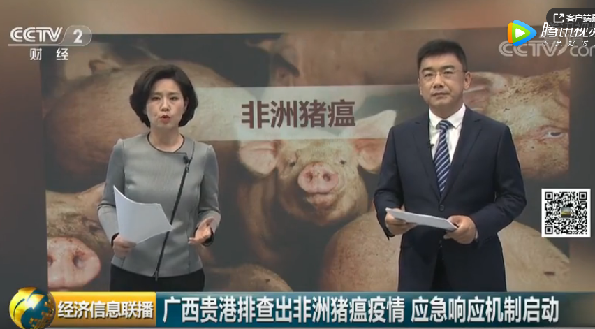 农业农村部：广西贵港排查出非洲猪瘟疫情 应急响应机制启动