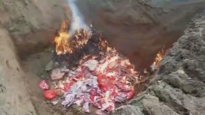 河源紫金镇查获宰杀生猪4头猪肉300余斤，已进行焚烧处理