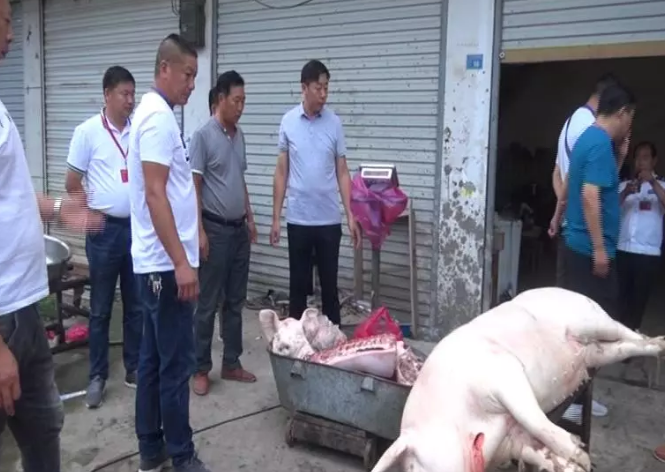 亳州涡阳查处一非法屠宰经营生猪点，依法查封没收400余斤生猪肉