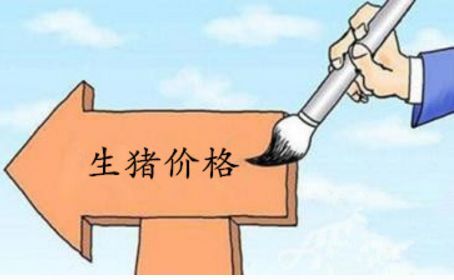 7月14日全国生猪价格持续上涨，广东上涨幅度大，现在能补栏吗？