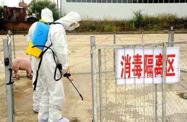 贵州5个县（市、区）非洲猪瘟疫情解除封锁